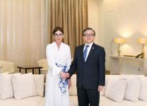 Первый вице-президент Мехрибан Алиева встретилась с заместителем генсека ООН (версия 2) (ФОТО)
