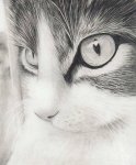 Произведения Азиза Аскерова ошеломляют правдоподобностью! Это фото или картины?  (ФОТО)