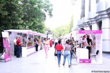 В центре Баку созданы квартал гончарного дела, деревня ковроткачества, поселок медников (ФОТО)