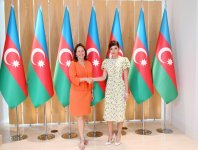 Первый вице-президент Азербайджана Мехрибан Алиева встретилась с послом Франции, ответственным за международные переговоры по вопросам Арктики и Антарктики (ФОТО) 
(версия 2)