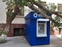 Сильный ветер в Баку повалил дерево на банкомат (ФOTO)