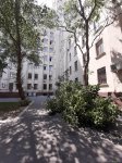 Сильный ветер в Баку повалил дерево на банкомат (ФOTO)