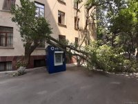 Сильный ветер в Баку повалил дерево на банкомат (ФOTO)