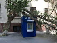 Сильный ветер в Баку повалил дерево на банкомат (ФOTO)