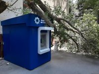 Сильный ветер в Баку повалил дерево на банкомат (ФOTO)