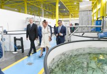 Президент Ильхам Алиев и Первая леди Мехрибан Алиева ознакомились с производственным процессом на рыборазводном заводе «НереМИЗ», созданном в Пираллахинском районе (ФОТО)