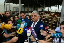В пункты жертвенного забоя скота в Азербайджане организован инфотур (ФОТО)