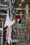 В пункты жертвенного забоя скота в Азербайджане организован инфотур (ФОТО)