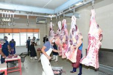 В пункты жертвенного забоя скота в Азербайджане организован инфотур (ФОТО)