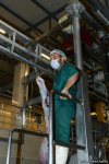 В пункты жертвенного забоя скота в Азербайджане организован инфотур (ФОТО)