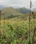 Анна Нетребко путешествует по Азербайджану - Шамахы, Шеки, Гянджа… (ФОТО)