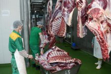 Фонд Гейдара Алиева раздает малообеспеченным семьям по случаю праздника Гурбан праздничные паи (ФОТО)