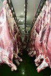 Фонд Гейдара Алиева раздает малообеспеченным семьям по случаю праздника Гурбан праздничные паи (ФОТО)