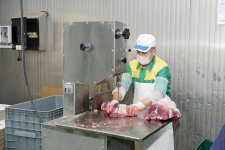 Фонд Гейдара Алиева раздает малообеспеченным семьям по случаю праздника Гурбан праздничные паи (ФОТО)