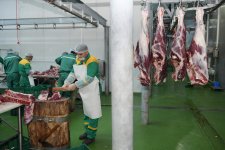 Фонд Гейдара Алиева раздает малообеспеченным семьям по случаю праздника Гурбан праздничные паи (ФОТО)