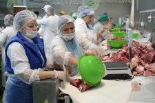 Фонд Гейдара Алиева раздает малообеспеченным семьям по случаю праздника Гурбан праздничные паи (ФОТО)