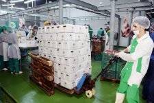 Фонд Гейдара Алиева раздает малообеспеченным семьям по случаю праздника Гурбан праздничные паи (ФОТО)