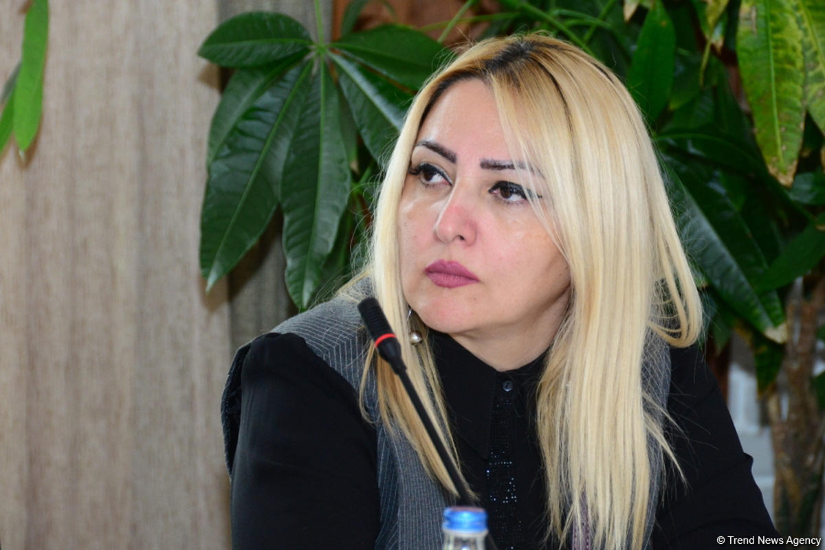 В Шамахы состоялся круглый стол в рамках первого Азербайджанского фестиваля винограда и вина (ФОТО)