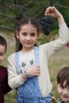 Шамаханская царица, воздушный шар, феерическое шоу - первый Азербайджанский фестиваль винограда и вина (ВИДЕО, ФОТО)