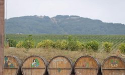 Шамаханская царица, воздушный шар, феерическое шоу - первый Азербайджанский фестиваль винограда и вина (ВИДЕО, ФОТО)