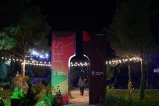 Шамаханская царица, воздушный шар, феерическое шоу - первый Азербайджанский фестиваль винограда и вина (ВИДЕО, ФОТО)