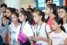 Gymnastic ribbon of Yana Batyrshina sold for 2,500 euros at auction in Baku (PHOTO)