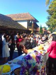 В Гахе прошел Фестиваль меда. Экология на страже здоровья семьи (ФОТО)