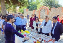 В Гахе прошел Фестиваль меда. Экология на страже здоровья семьи (ФОТО)