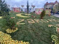 В Губе проходит Праздник яблок - более 100 сортов, самые-самые… (ФОТО/ВИДЕО)
