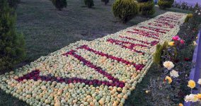 В Губе проходит Праздник яблок - более 100 сортов, самые-самые… (ФОТО/ВИДЕО)