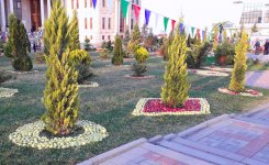 В Губе проходит Праздник яблок - более 100 сортов, самые-самые… (ФОТО/ВИДЕО)