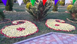 В Губе проходит Праздник яблок - более 100 сортов, самые-самые… (ФОТО/ВИДЕО)