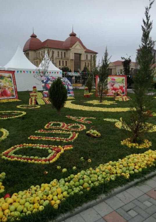 В Губе проходит Праздник яблок - более 100 сортов, самые-самые… (ФОТО/ВИДЕО)