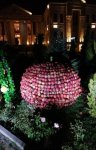 В Губе проходит Праздник яблок - более 100 сортов, самые-самые… (ФОТО/ВИДЕО)