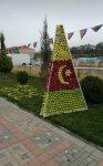 В Губе проходит Праздник яблок - более 100 сортов, самые-самые… (ФОТО/ВИДЕО)