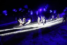 В Гобустане создана атмосфера первобытного времени – невероятное шоу (ВИДЕО, ФОТО)
