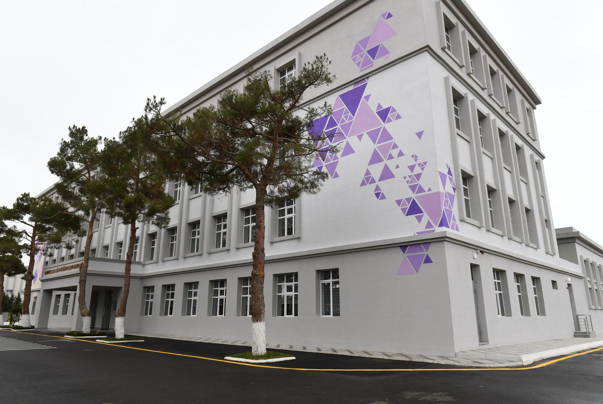 First VP Mehriban Aliyeva views conditions created at newly-renovated boarding school (PHOTO)