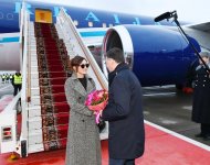 Первый вице-президент Азербайджана Мехрибан Алиева прибыла с официальным визитом в Россию (ФОТО) (версия 2)