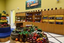 Состоялась церемония открытия павильона «Азербайджан», реконструированного на Выставке достижений народного хозяйства в Москве
В открытии приняла участие Первый вице-президент Мехрибан Алиева (ФОТО) (Версия 2)