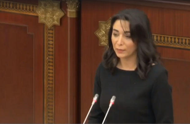 Омбудсмен Азербайджана выступила с заявлением в связи с трагедией 20 Января