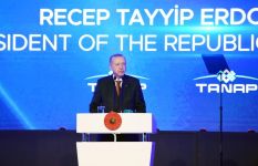 Президент Ильхам Алиев принял участие в церемонии открытия части проекта TANAP, соединяющейся с Европой (ФОТО)