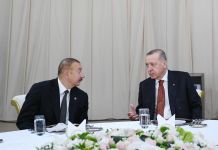 Президент Ильхам Алиев принял участие в приеме в честь участников церемонии открытия части TANAP, соединяющейся с Европой (ФОТО) (версия 2)