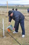 Праздник в Мушфигабаде - акция по посадке 650 тыс. деревьев, концертная программа, знаменитости (ФОТО)