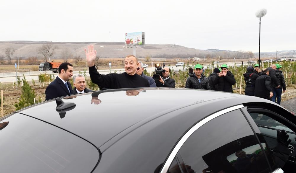 Президент Азербайджана Ильхам Алиев и Первая леди Мехрибан Алиева приняли участие в акции по посадке деревьев в Шамахинском районе (ФОТО)