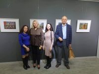 Рейс Стокгольм-Баку приземлился в "аэропорту Лейлы Хазари" – "пилот" Ирада Асадова (ФОТО)