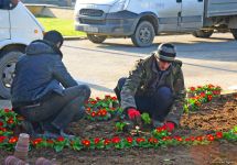 В Аллее шехидов в Баку проводятся подготовительные работы в связи с годовщиной  трагедии 20 Января (ФОТО)