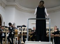 Азербайджанские музыкальные инструменты – наше национальное богатство (ФОТО)