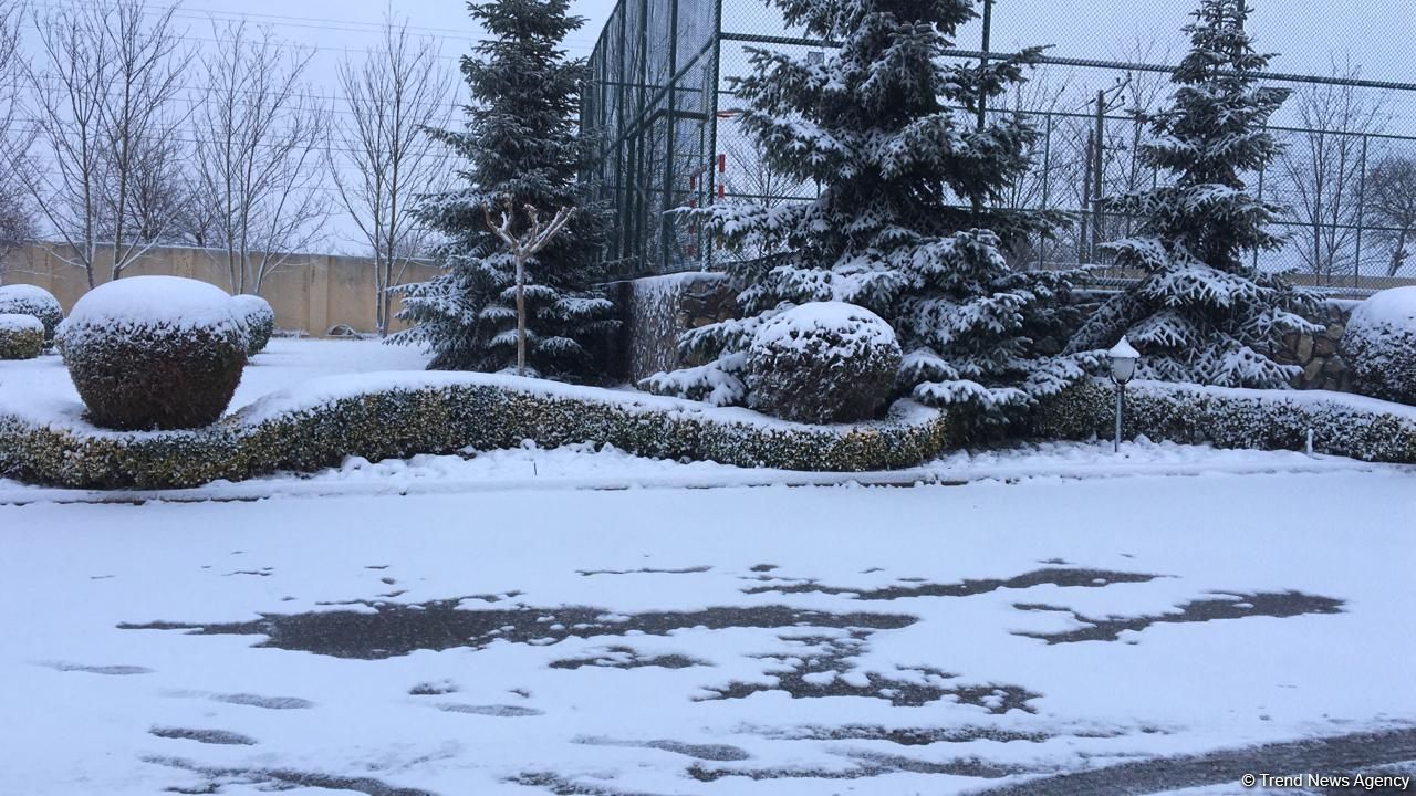 В Баку ожидается снег