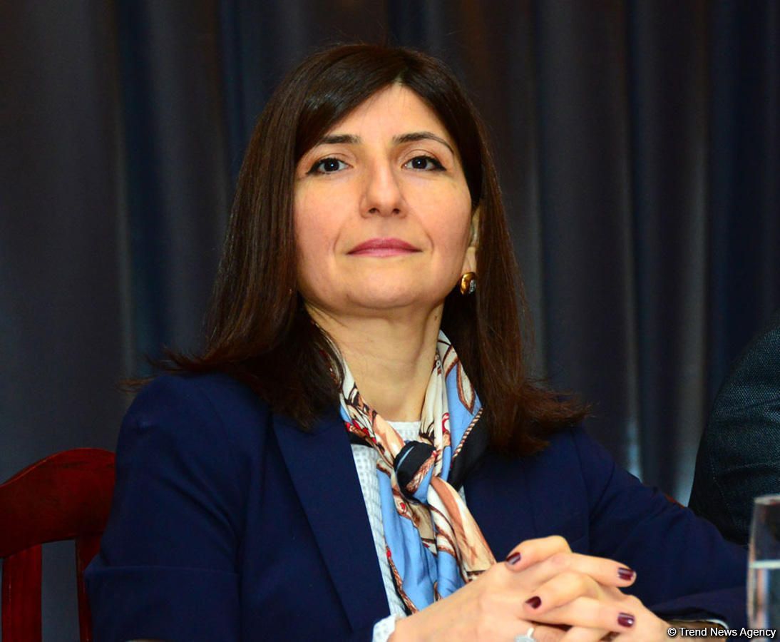 Севиль Микаилова: План мероприятий, осуществляемый по поручению Президента Ильхама Алиева, нацелен на обеспечение безопасности каждого гражданина Азербайджана
