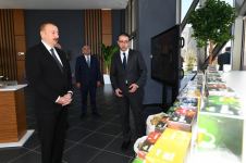 Президент Ильхам Алиев принял участие в открытии комплекса “ASAN Həyat” в Товузе (ФОТО)